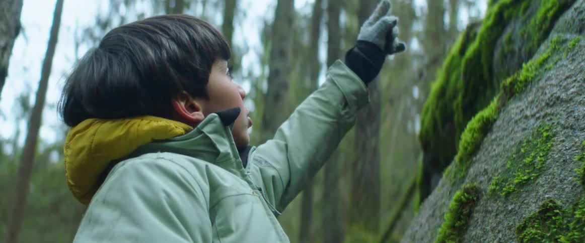 Cute little boy pointing up at moss growing on rock in the forest