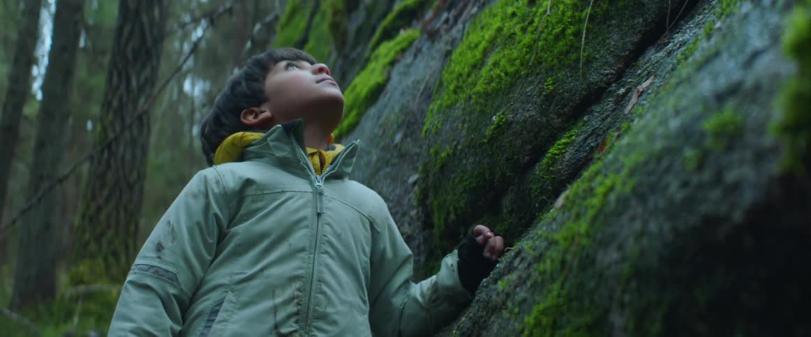A boy is looking up in the forest