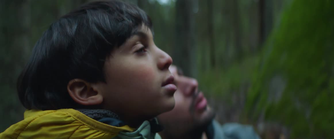 A man and a boy in a woodland area are outdoors looking up at something