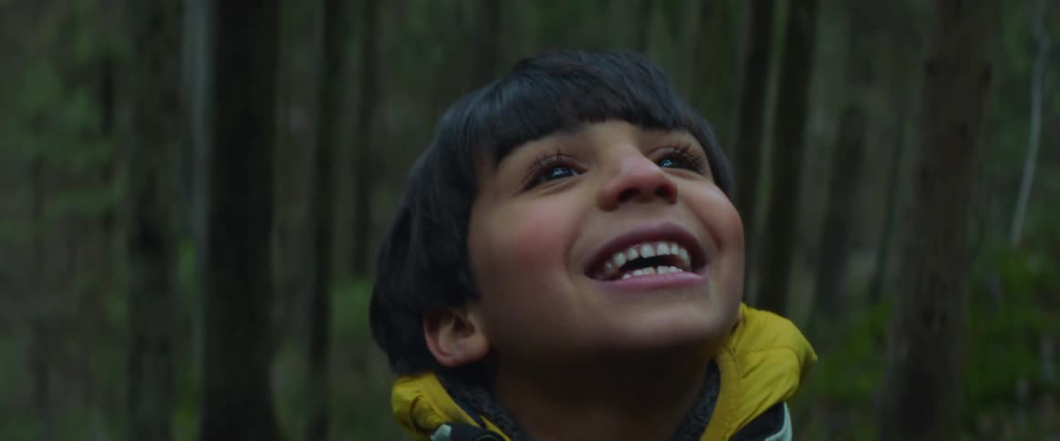 Happy young boy smiling and talking while looking up standing in a forest