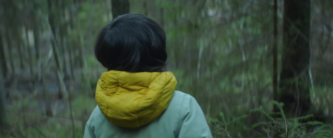 A young boy is in a forest throwing rocks down a hill