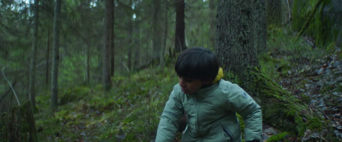 A boy picks up and throws a branch while playing in the forest