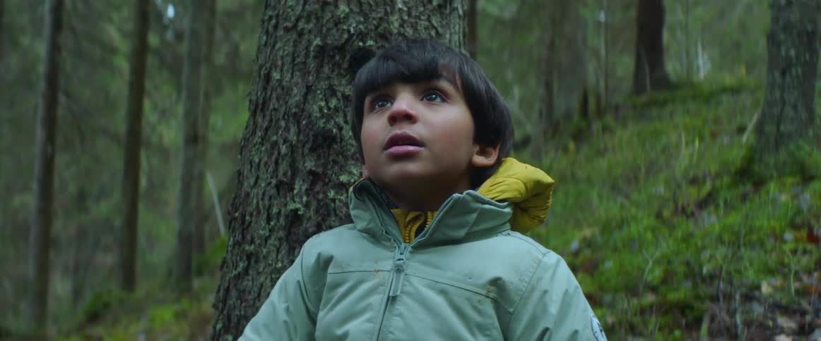 A boy is talking and pointing around