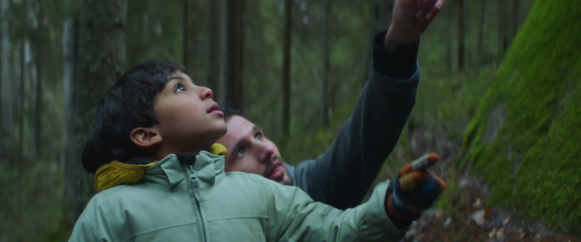 A man points up in a forest to explain a concept to his son