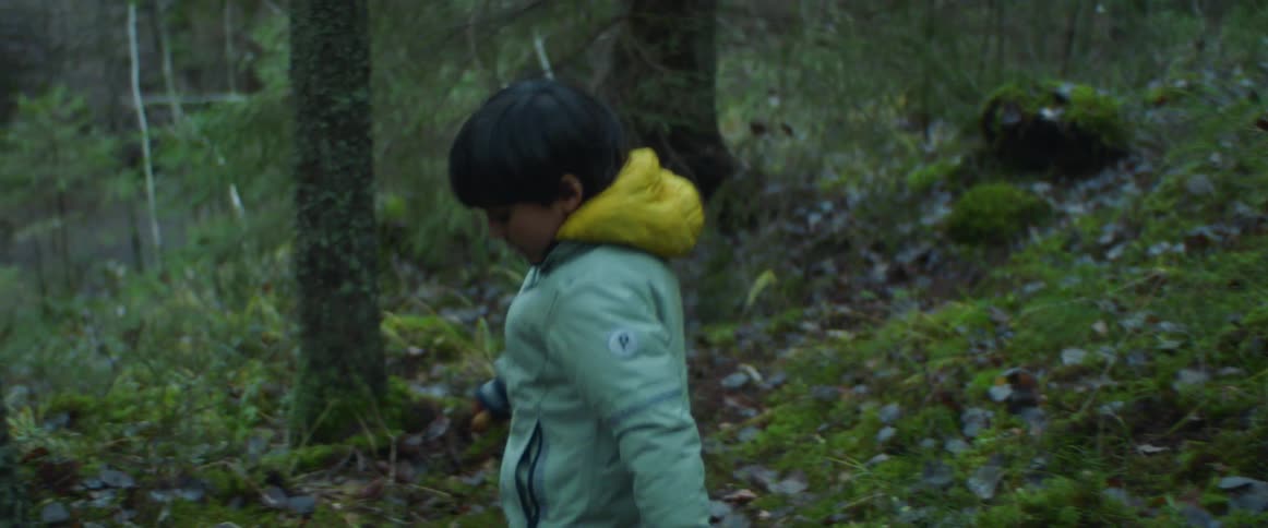 A young boy in a forest walks down a hill and picks up a rock