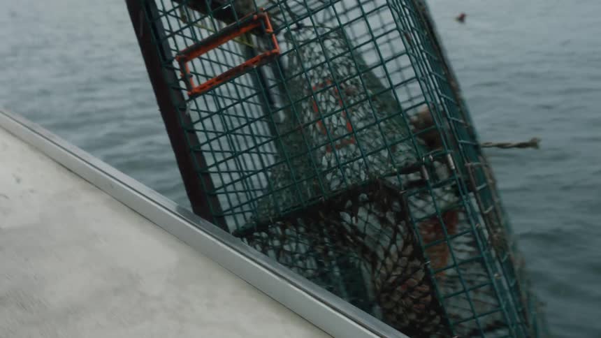 Wire cage is pulled from the ocean by a pulley on a ship