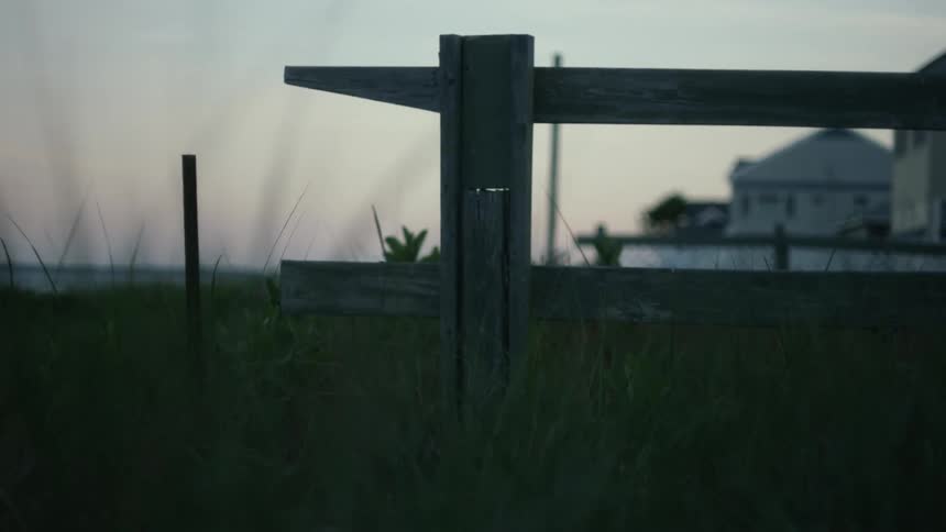 A shot from ground level showing a grass land