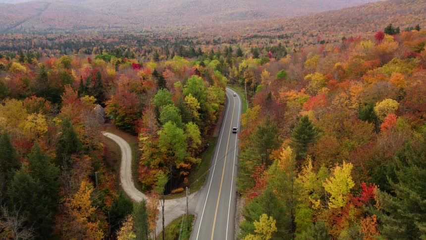 Vehicles drive past road leading to houses on one side and mountain on the other both areas occupied with a forest of trees with fall foliage