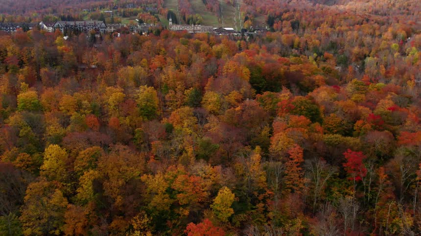 Aerial view of a buildings in a forest of trees with bright fall colored leaves and mountains in the distance