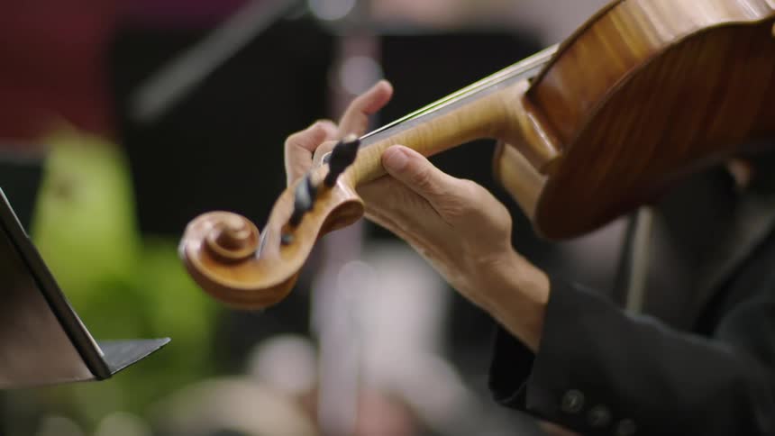 Fingers press the strings as a musician plays the violin