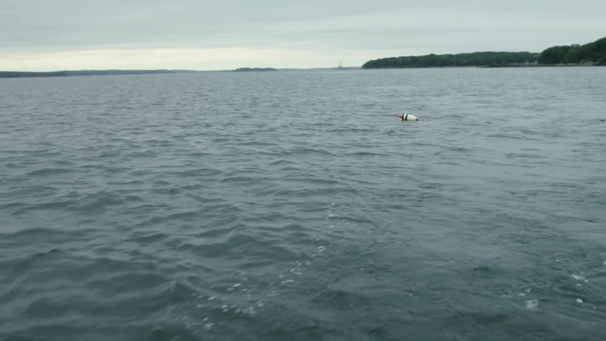 A buoy is floating in rough water under a cloudy sky