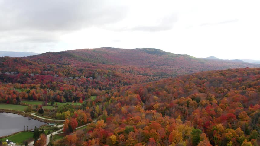 Panoramic aerial view of beautiful autumn colors in the countryside