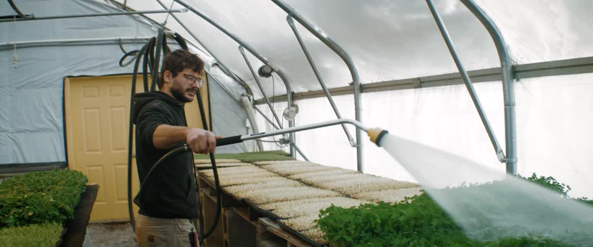 A man uses a power sprayer to water beds of greens and plants in a greenhouse