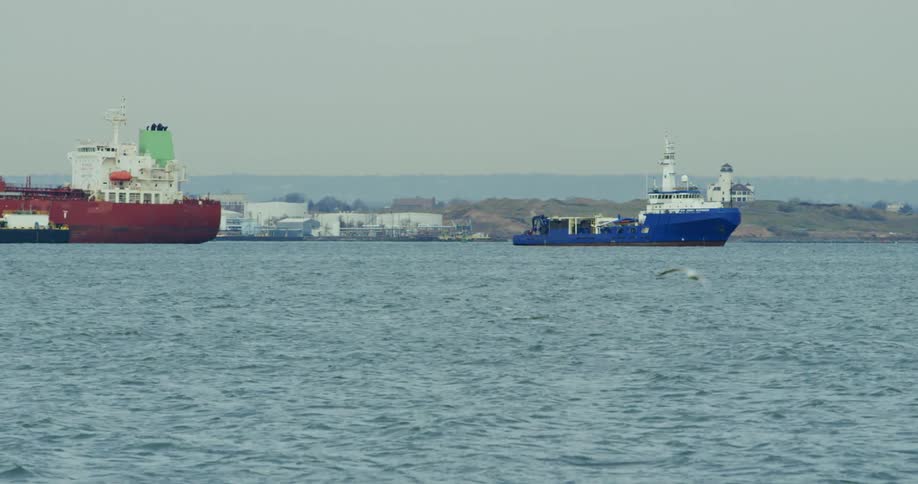 Birds fly around the large ships