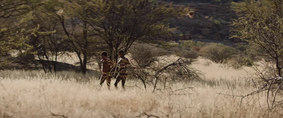 Tribal men go hunting in african field