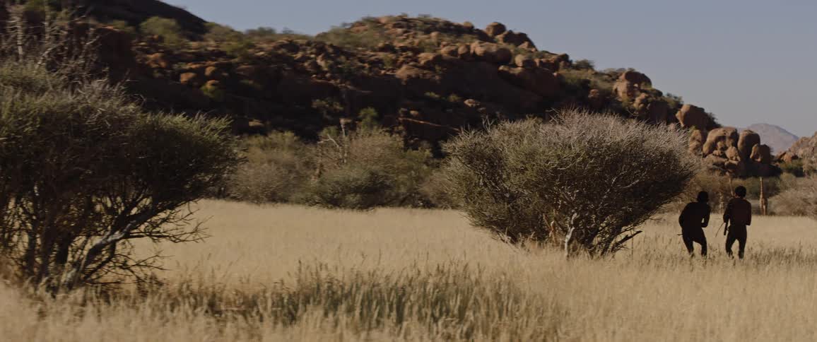 Indigenous on a hunt