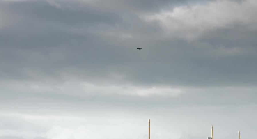 A bird flies over a road on a cloudy day