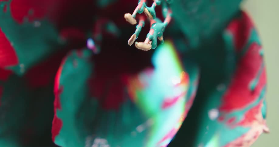 A view of paint dripping off a petal