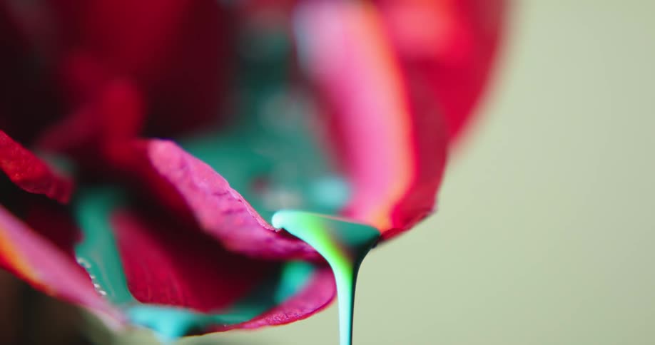 The paint is pouring on the flower