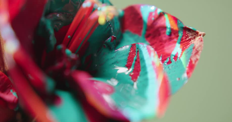 A view of flowers with paint on them