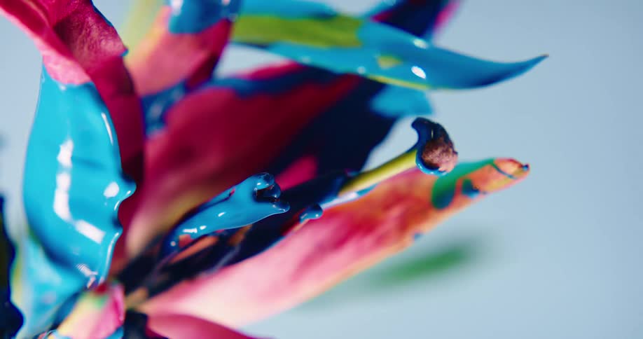 Blue paint drips onto and off flower as light brightens