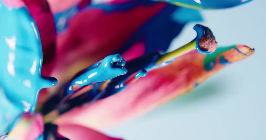 Blue paint drips vertically from a flower petal