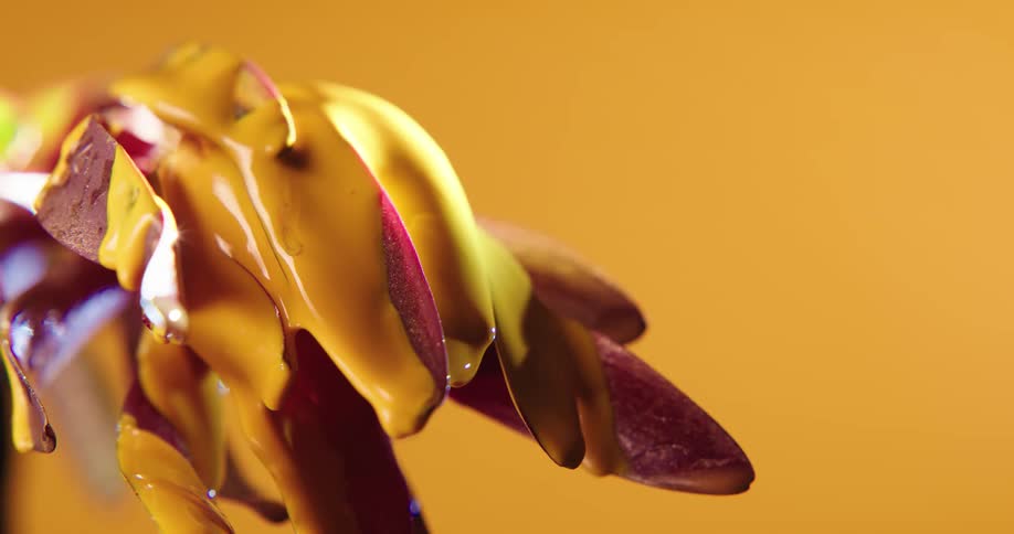 A flower is covered in a layer of viscous orange paint that is slowly dripping off of it