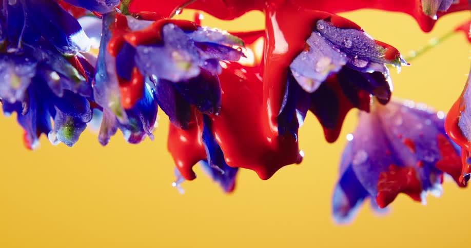 Red paint drips from purple flowers with a yellow wall behind them