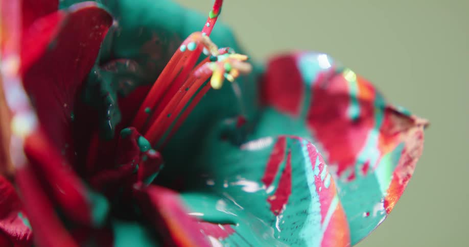 The flower is covered in paint