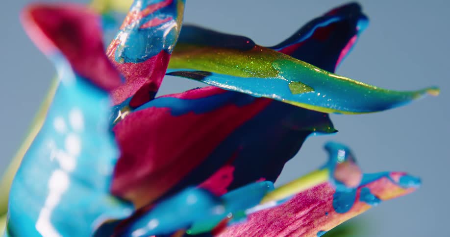 The petals of a pink flower are covered in dripping greenishblue paint
