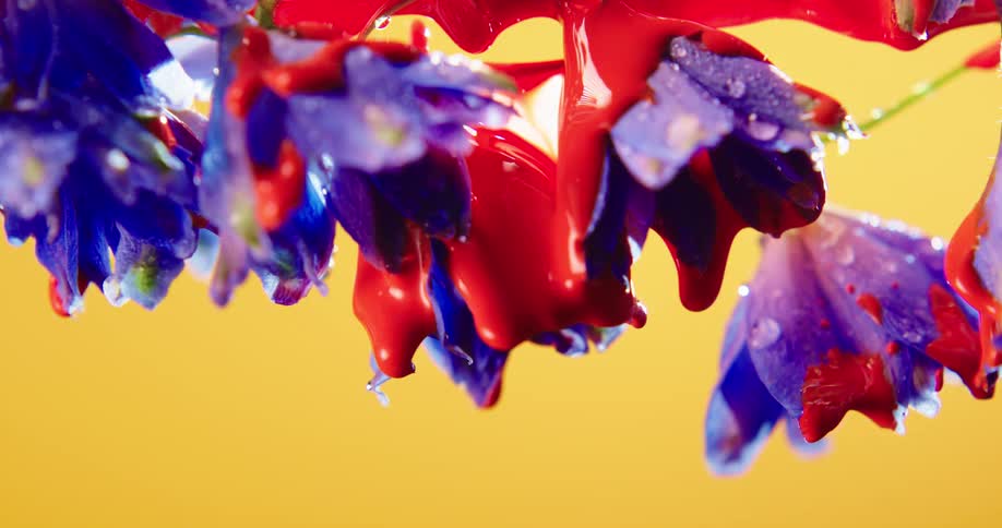 Paint drips from the flowers