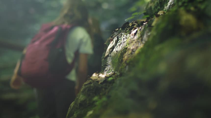 Three people hiking in a forest area