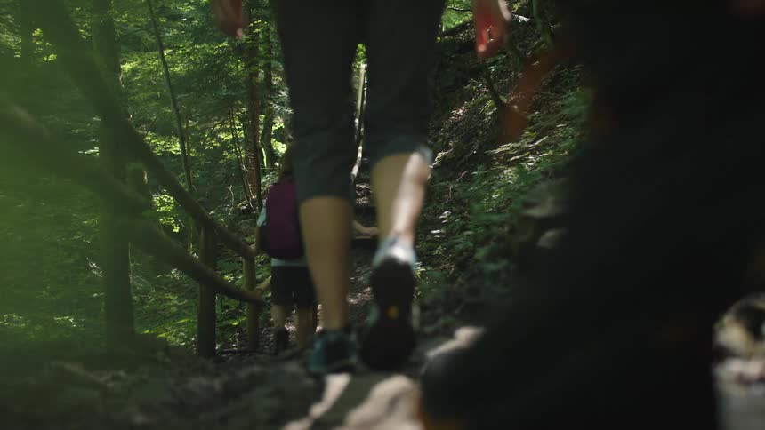 Mother father and two daughters wearing shorts hike down the rocks and up the steps in the forest on a sunny day