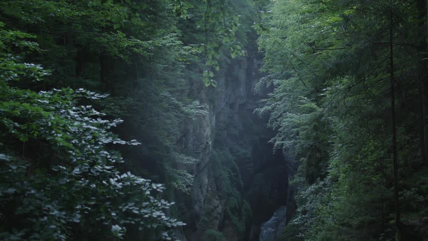 Footage of a river flowing throug a canyon on the forest in the mountains