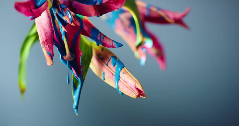 The blue paint drips from the flower