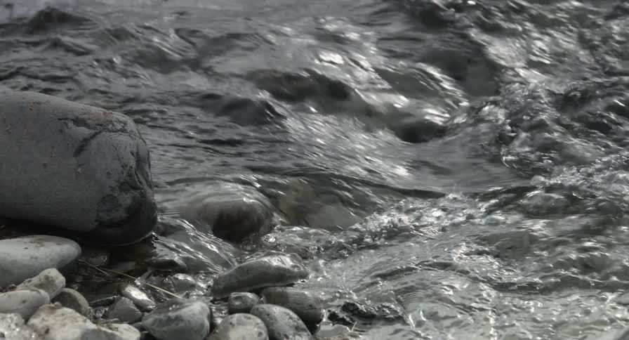 A stream has many rocks inside