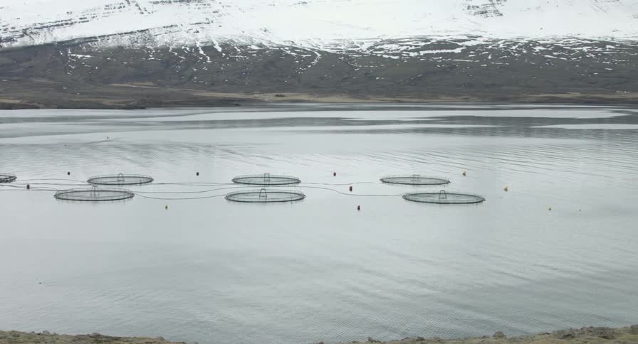 Fishing nets float on a mountain lake