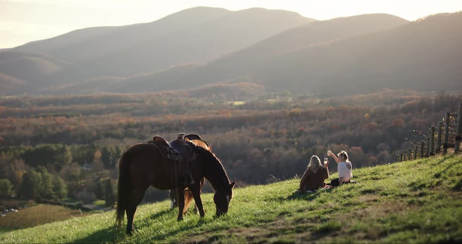 Young couple toasting near horses at a valley at sunset