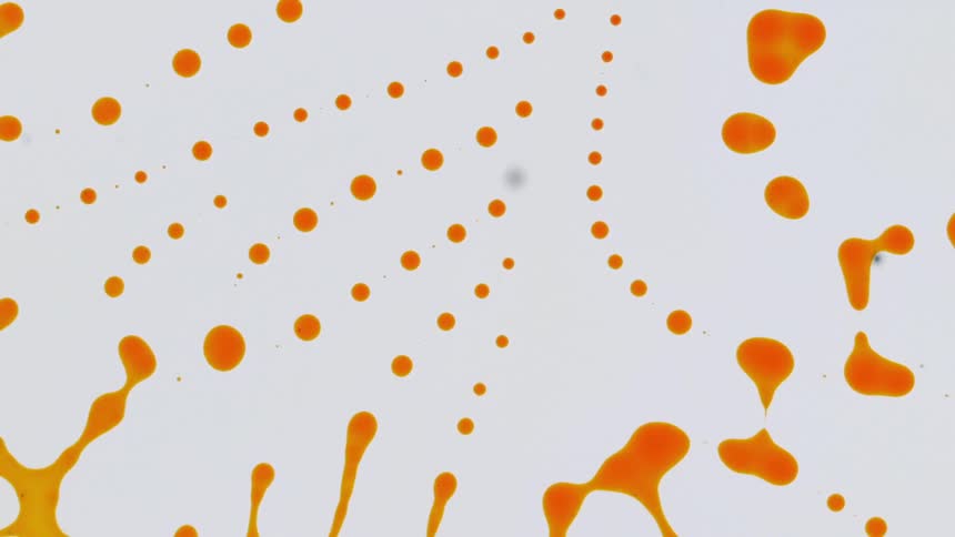 The orange liquid under a microscope