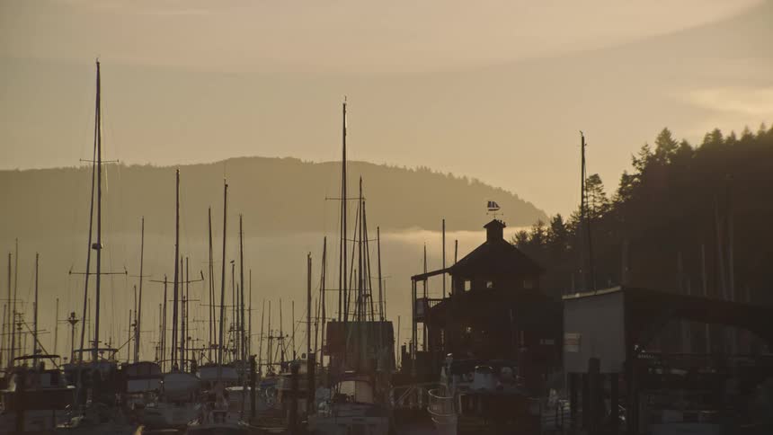 The sun rises behind a marina with birds flying over boats