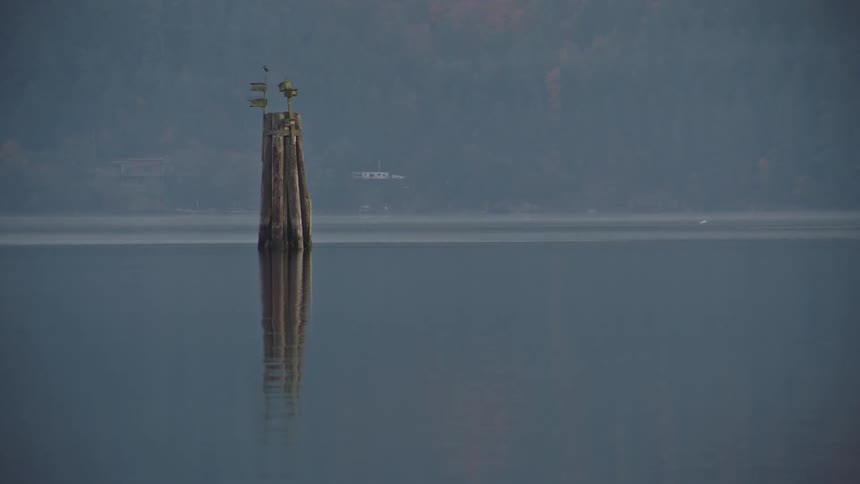 An old wooden dock pile sits exposed reflecting in the calm water at dawn