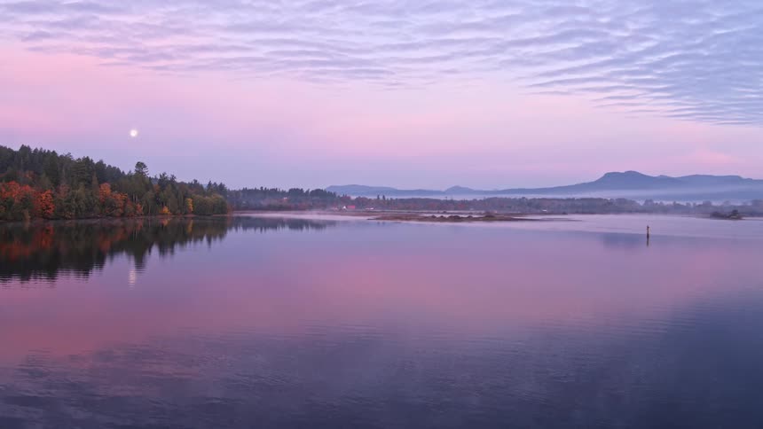 A foggy ocean inlet with shoreline trees seen at dusk