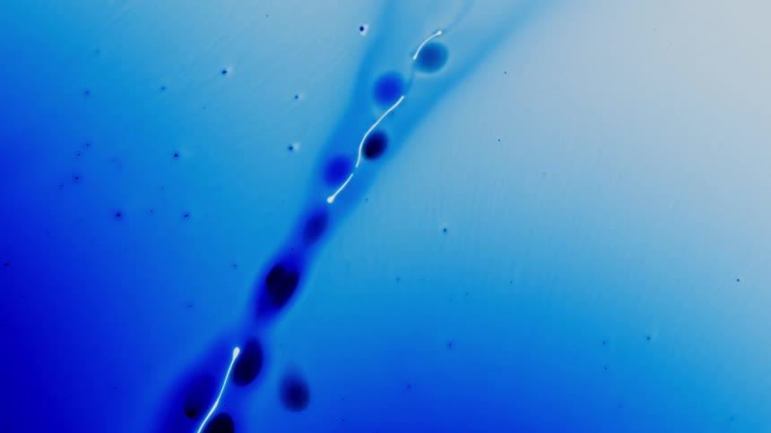 abstract blue color splash on white