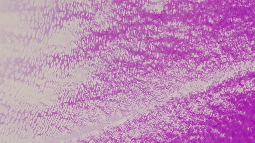 A fast chemical reaction turns into purple ripples