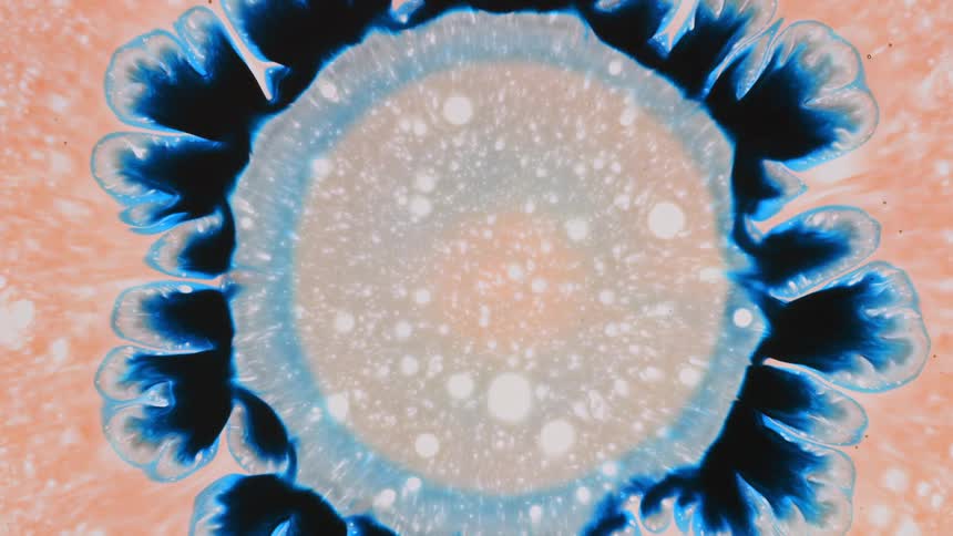 Circles expand within a blue exploding circle like a liquid flower