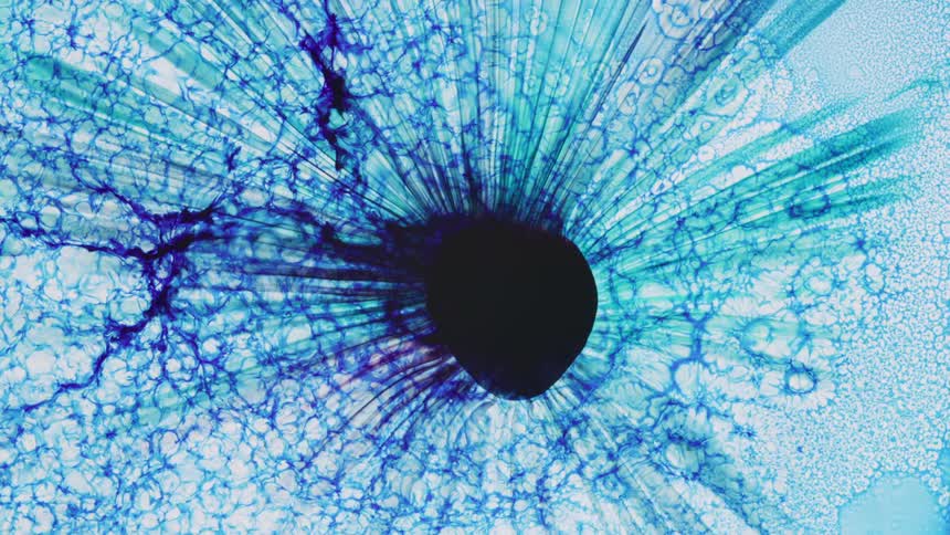A burst of blue colors and electric blue ripples emerge with a dark portal in the center