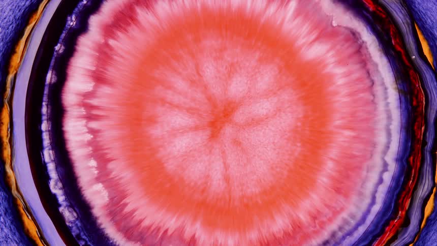 The circle has many layers of colors like a flower