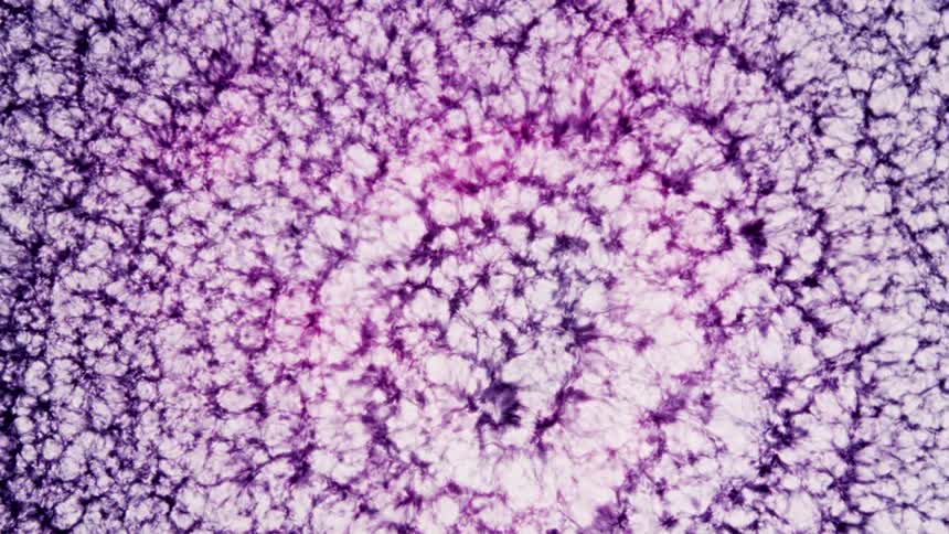 Purple and White chemical reaction abstract pattern