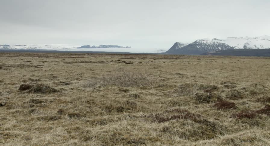 Large open pasture in a desolate area