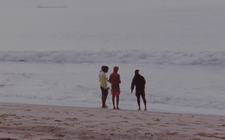 Four friends are talking on the beach together